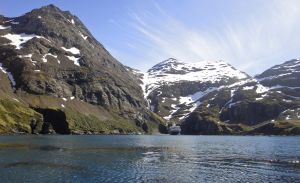 Hercules Bay, South Georgia Island 304.jpg